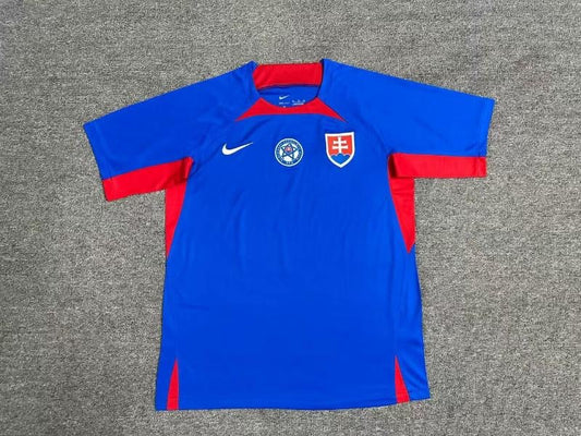 Maillot Slovaquie euro 2024