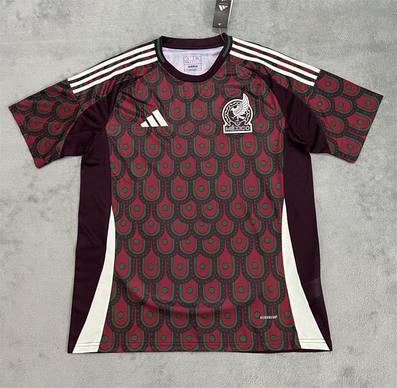 Maillot Mexique copa america 2024