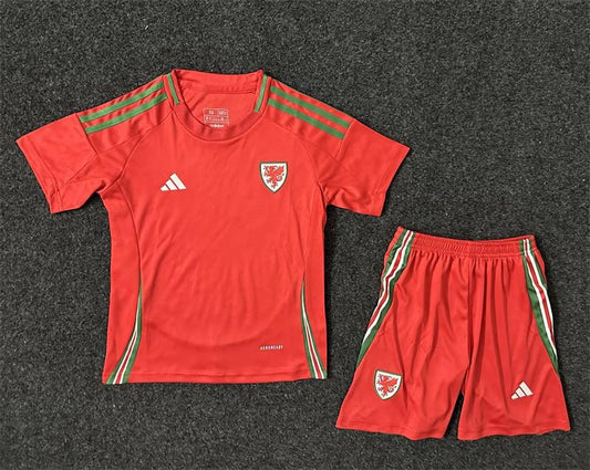 Maillot Enfant Pays De Galles euro 2024