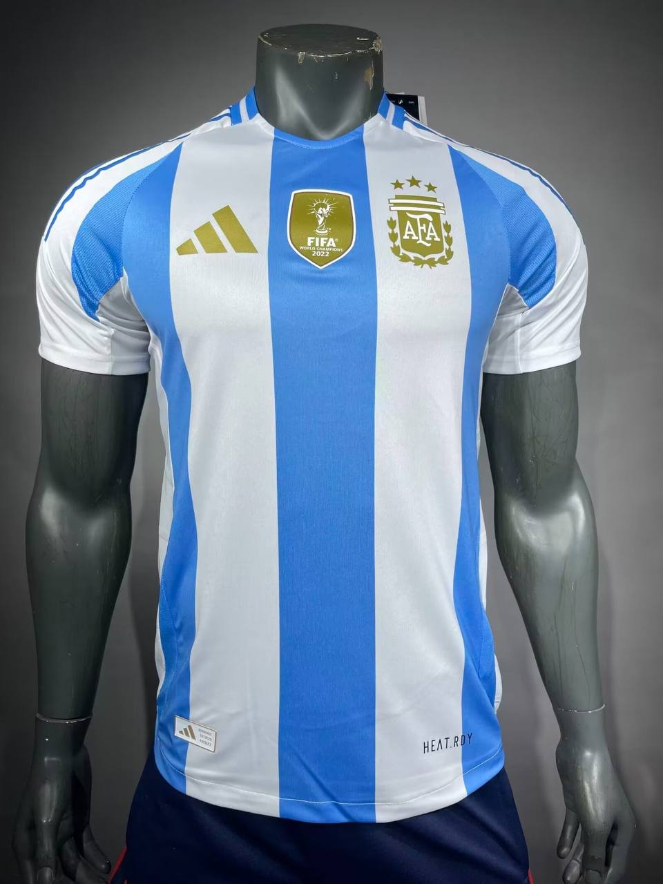 Maillot Argentine copa america 2024 Player Version